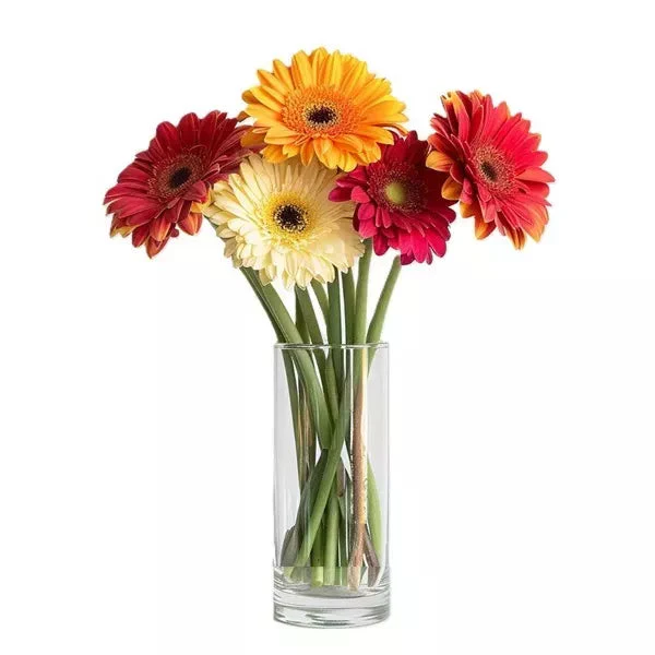 Gorgeous Gerberas