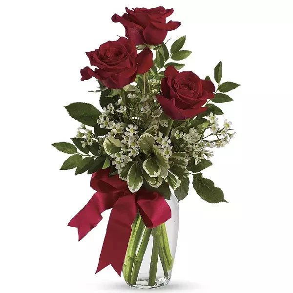 Radiant Roses