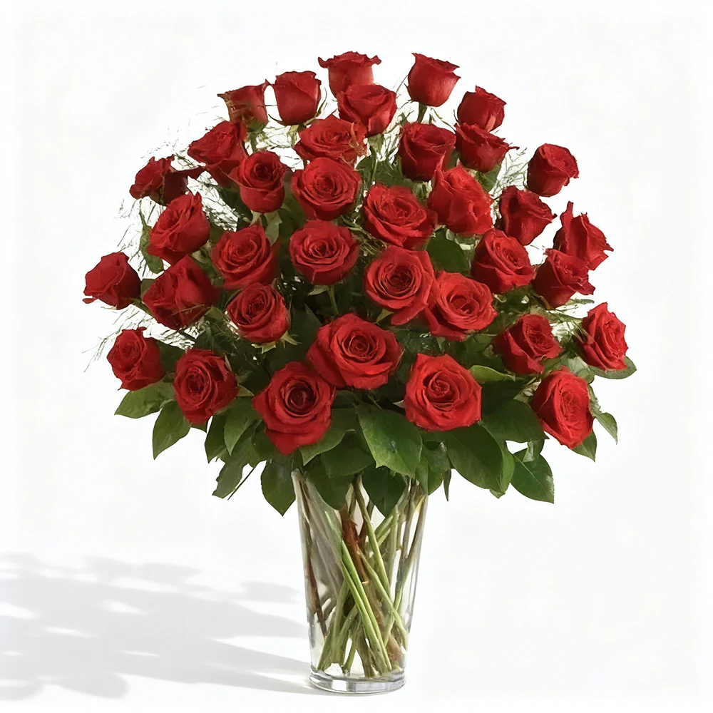 Three Dozen Long Stem Red Roses