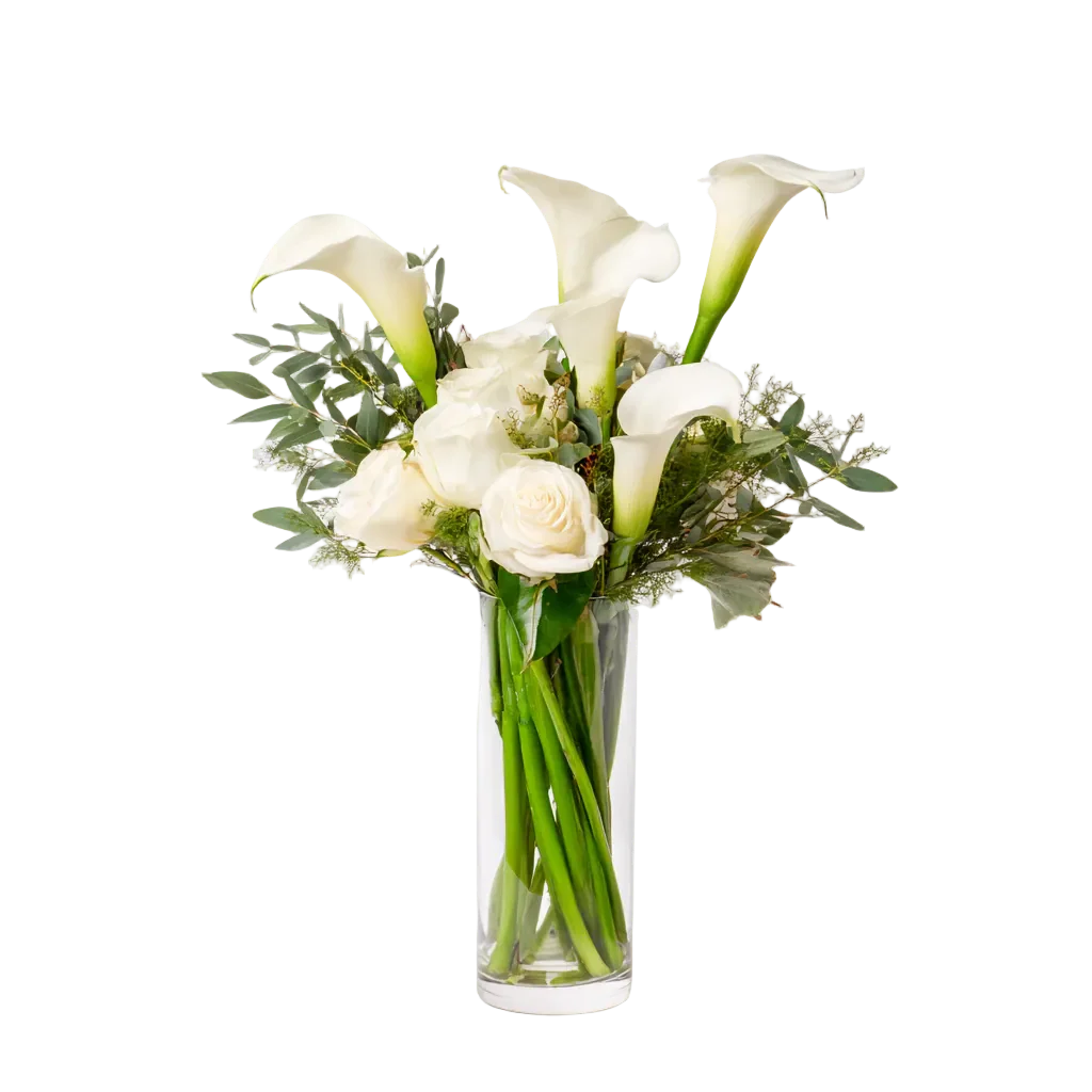 White Elegance
